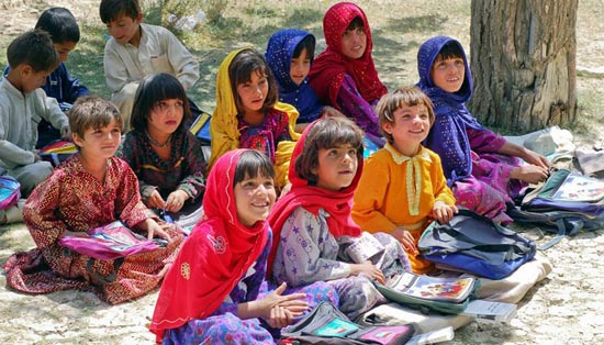 智能化且具有学习能力的ddos网页端